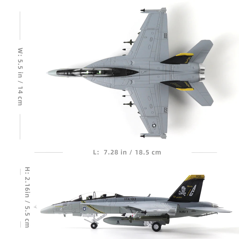 F/A-18 Super Hornet “Jolly Rogers” – 1:100 Scale Carrier Fighter Model