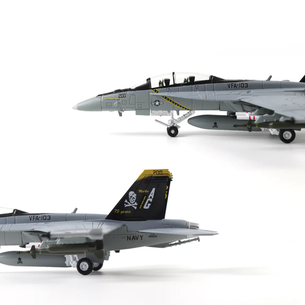 F/A-18 Super Hornet “Jolly Rogers” – 1:100 Scale Carrier Fighter Model